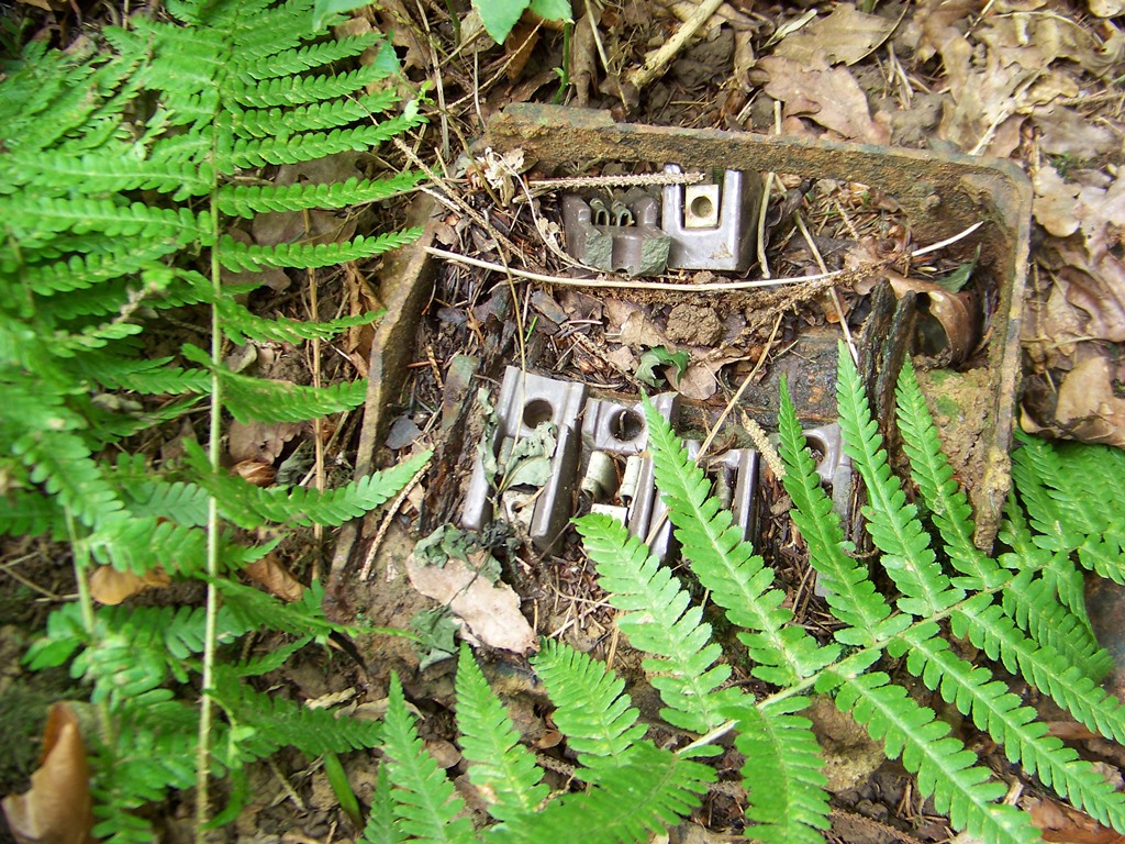 Communal site midden