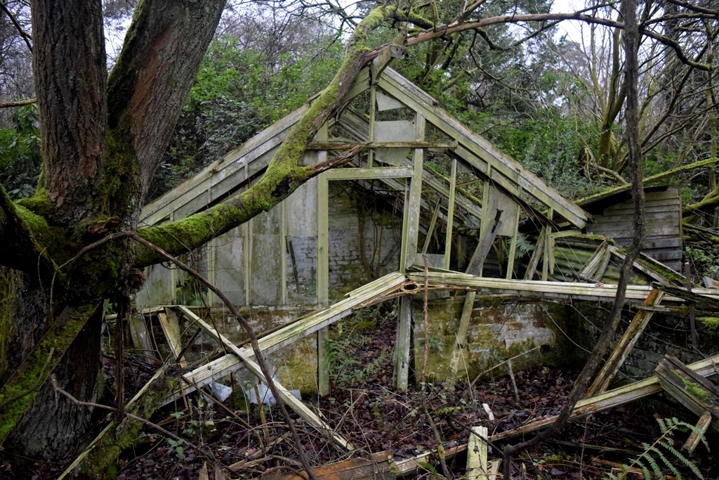 Derelict greenhouse in Balcombe Forest, West Sussex.