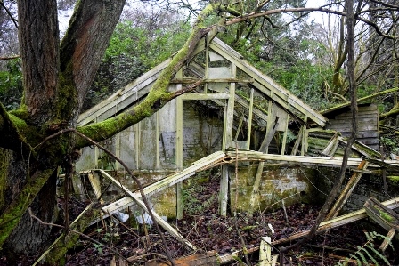 Lost Gardens