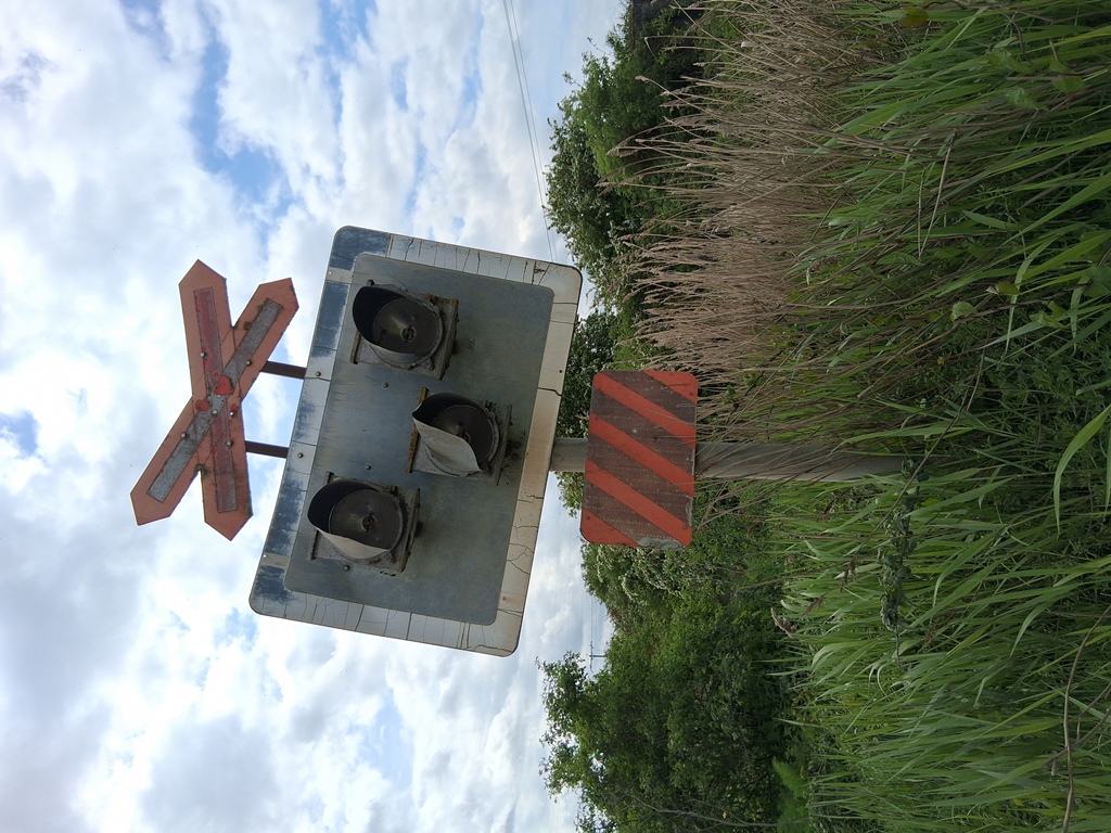 Ridham Marshes, Kent, Summer 2025.